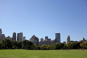 Wide shot of Central Park Great Lawn with NYC skyline