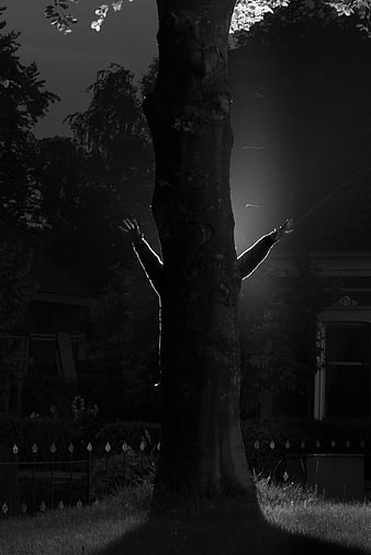 Silhouette of person hiding behind tree at night