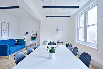 Modern office interior with blue sofa and white conference table