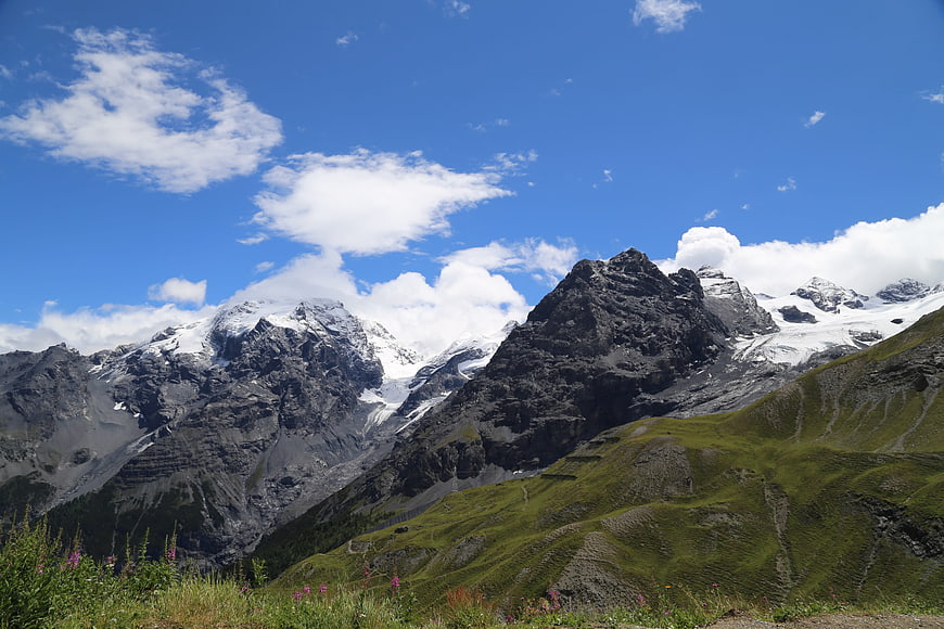 Majestic Snow-Capped Alps with Green Meadows and Blue Sky