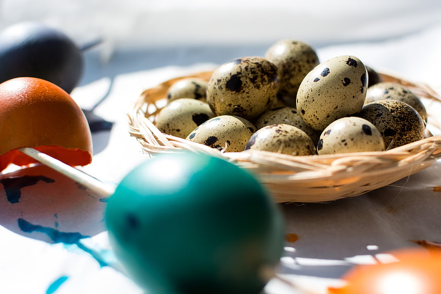 Easter quail eggs in basket with dyed eggs