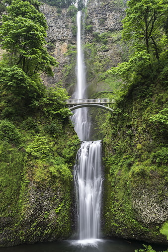Tall waterfall cascading behind a white arched bridge in a lush green forest