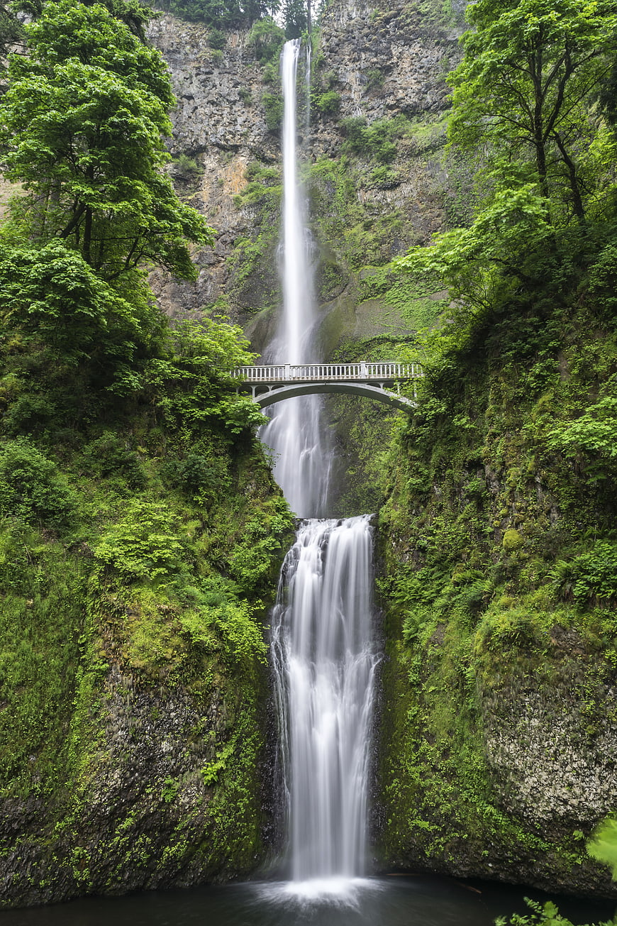 Tall waterfall cascading behind a white arched bridge in a lush green forest