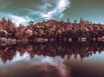 Serene Lake Reflection with Forest and Vintage Film Grain