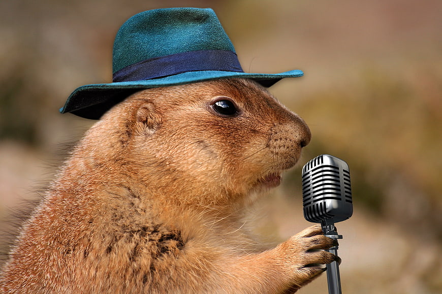 Prairie Dog Wearing Hat Singing into Vintage Microphone