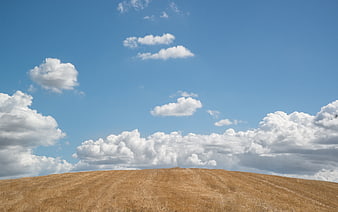 Golden dry grass hill under blue sky with white clouds