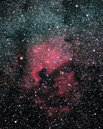 North American Nebula NGC 7000 Star Field Deep Space Astrophotography