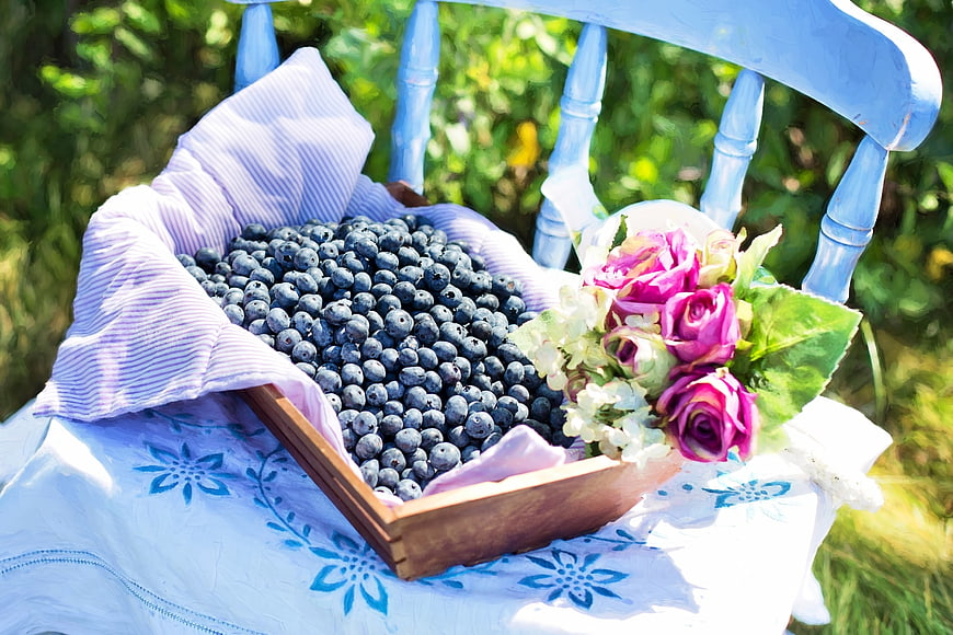 Fresh Blueberries in Wooden Crate with Pink Roses on Blue Chair