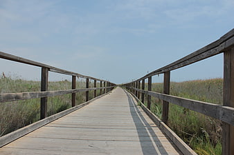 Wooden Boardwalk Path Through Marshland Nature
