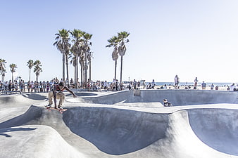 Skateboarder performing trick at sunny beachside concrete skate park