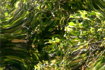 Abstract green water reflection with rippling texture