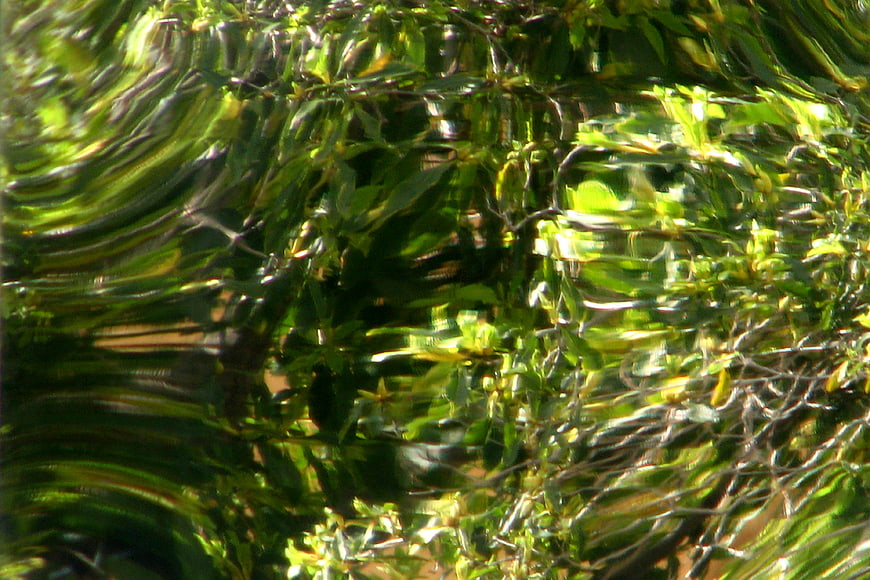 Abstract green water reflection with rippling texture