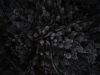 Aerial view of winding road through dark snowy forest