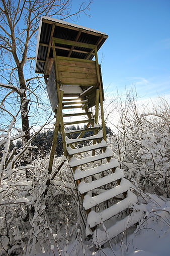 Snow-covered wooden hunting tower in winter forest