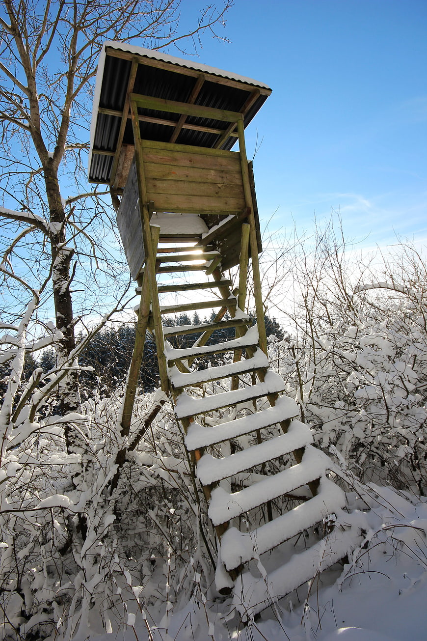 Snow-covered wooden hunting tower in winter forest
