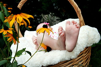 Baby feet in wicker basket with yellow flowers