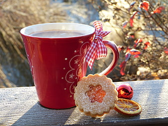 Red Christmas Mug with Cookie and Dried Orange Slice