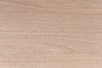 Light Oak Wood Texture Background