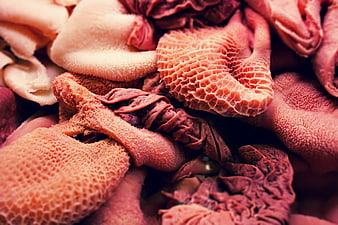 Close-up of raw animal offal and textured meat cuts