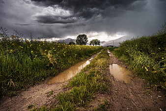 Muddy rural dirt road leading through wildflower fields under dramatic storm clouds
