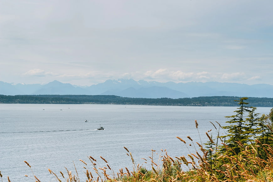 Scenic View of Ocean, Mountains, and Boats with Foreground Grass