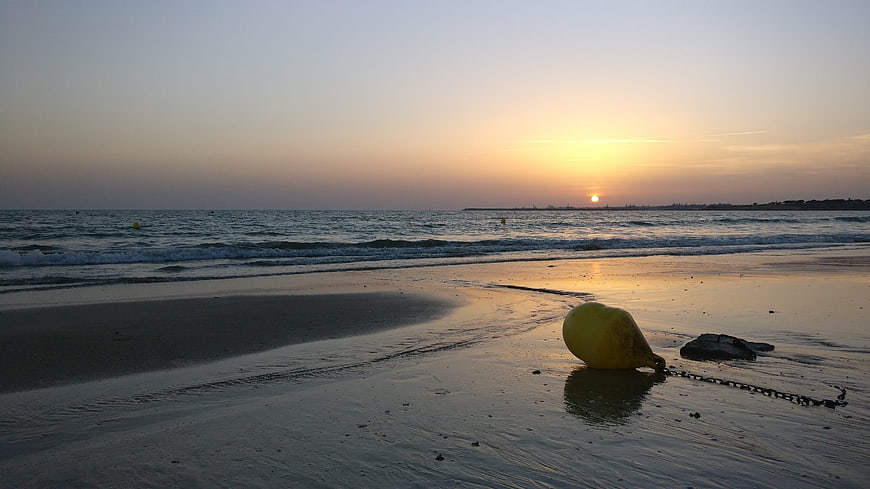 Yellow buoy on wet sand beach at sunset
