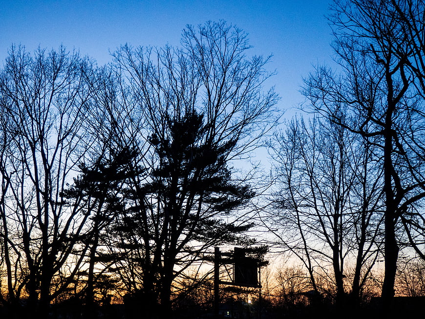 Silhouetted Trees Against Blue and Orange Sunset Sky