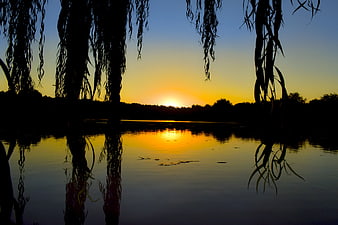 Serene Sunset Reflection Through Silhouetted Willow Branches