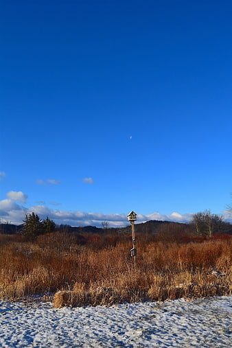 Winter Landscape with Birdhouse and Blue Sky