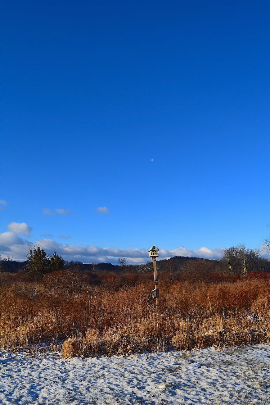 Winter Landscape with Birdhouse and Blue Sky
