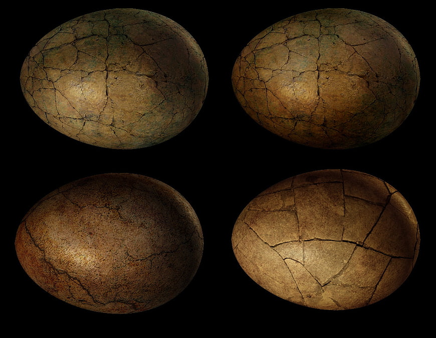 Four cracked dinosaur eggs on black background