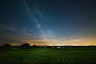 Milky Way Galaxy Over Green Wheat Field at Night