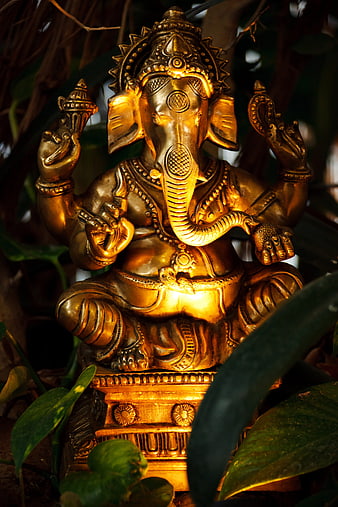 Golden Ganesha statue illuminated by warm light amidst green foliage