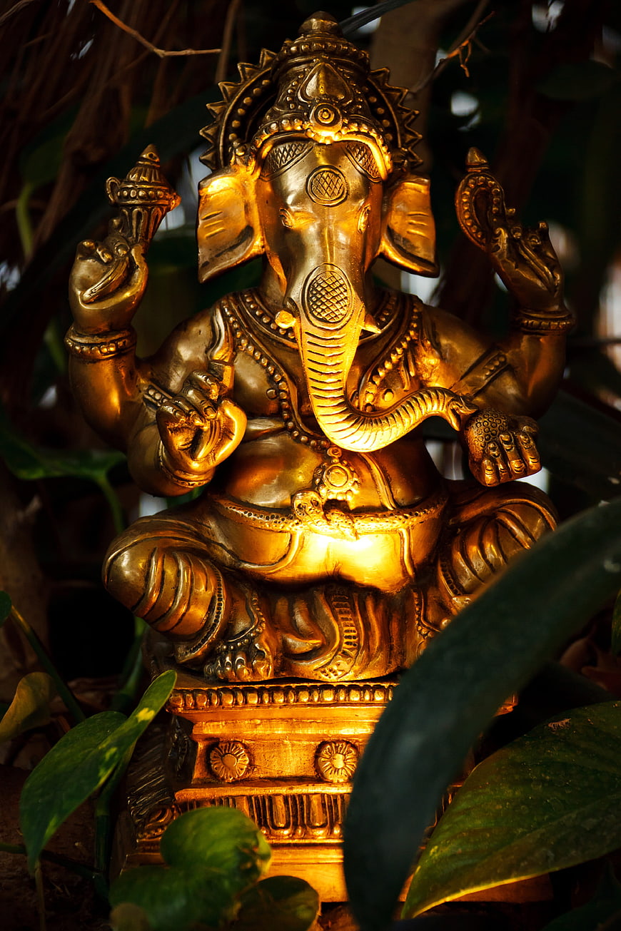 Golden Ganesha statue illuminated by warm light amidst green foliage