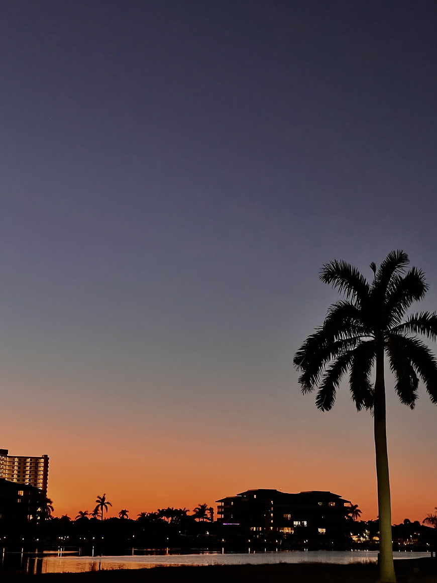 Silhouette of Palm Tree Against Orange Sunset Sky