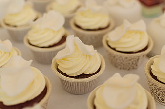 Close-up of chocolate cupcakes with white frosting and coconut flakes