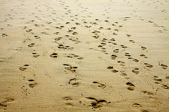 Footprints in sand on a sunny beach
