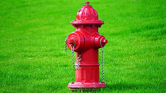 Red Fire Hydrant on Green Grass