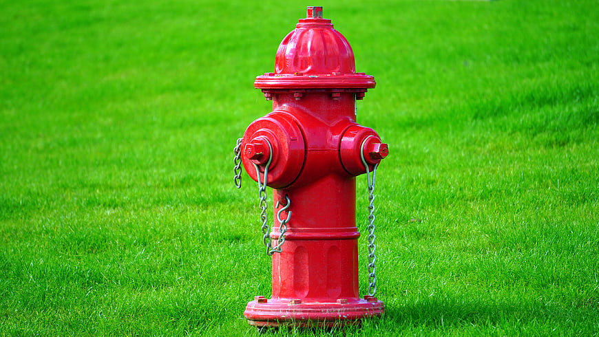 Red Fire Hydrant on Green Grass