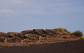 Volcanic stone walls and black ash landscape in Lanzarote