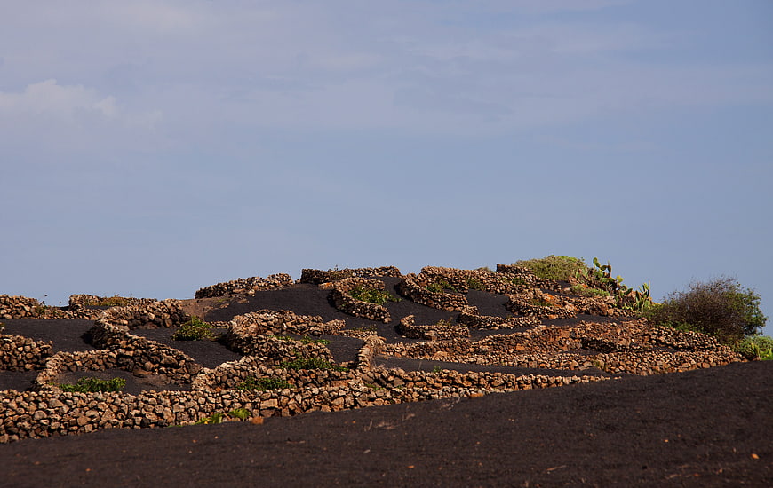Volcanic stone walls and black ash landscape in Lanzarote