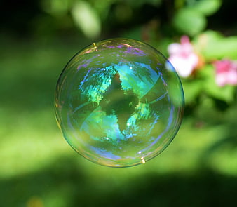 Iridescent Soap Bubble Floating in Green Garden