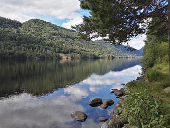 Serene Norwegian Lake Landscape with Forested Mountains and Pine Tree