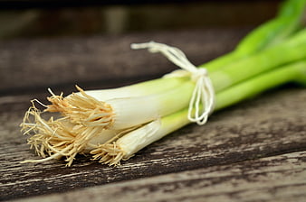 Fresh Spring Onions Tied with String on Rustic Wood