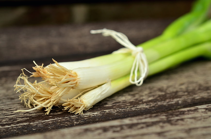 Fresh Spring Onions Tied with String on Rustic Wood