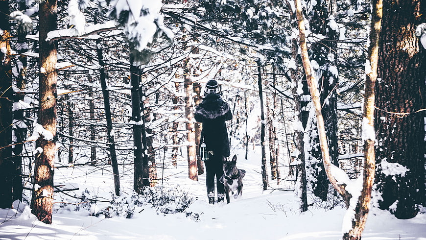 Woman Walking Dog in Snowy Winter Forest