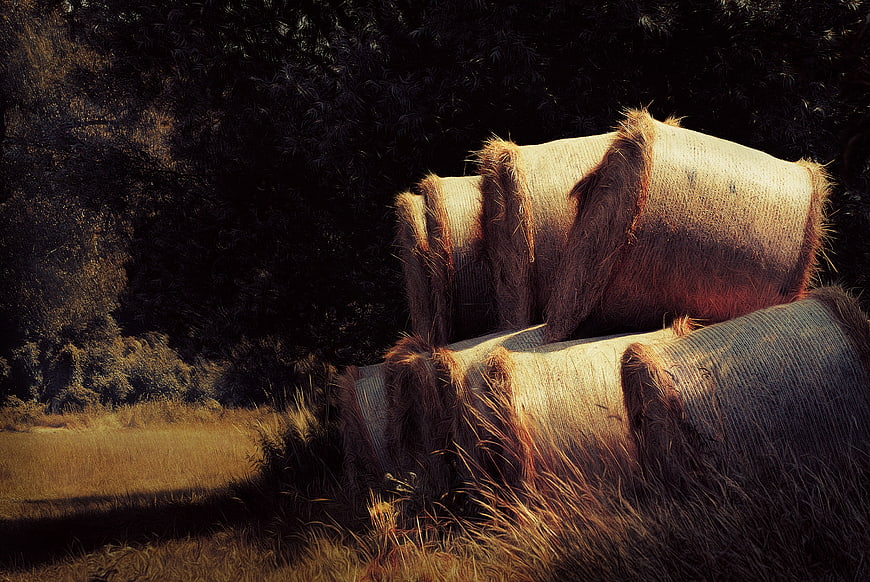 Golden Hay Bales in Rural Field at Sunset