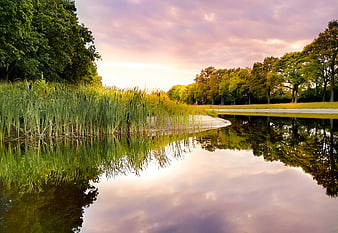 Serene Lake Reflection at Sunset with Reeds and Trees