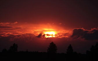 Dramatic Red Sunset Silhouette Over Forest Landscape