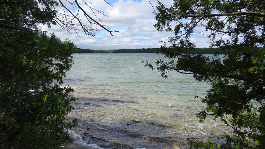 Serene Lake View Through Forest Trees